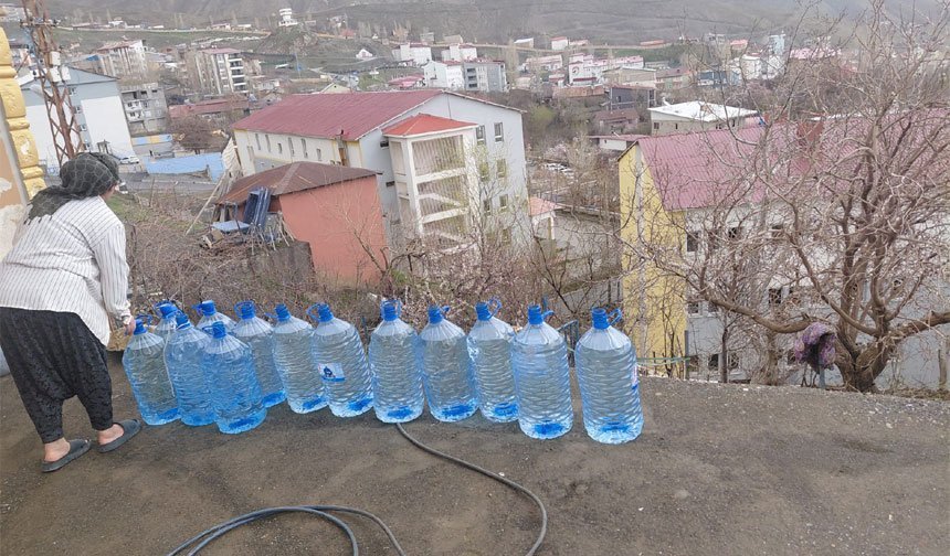 Hakkari'de vatandaşlar doğal kaynaklara yöneldi