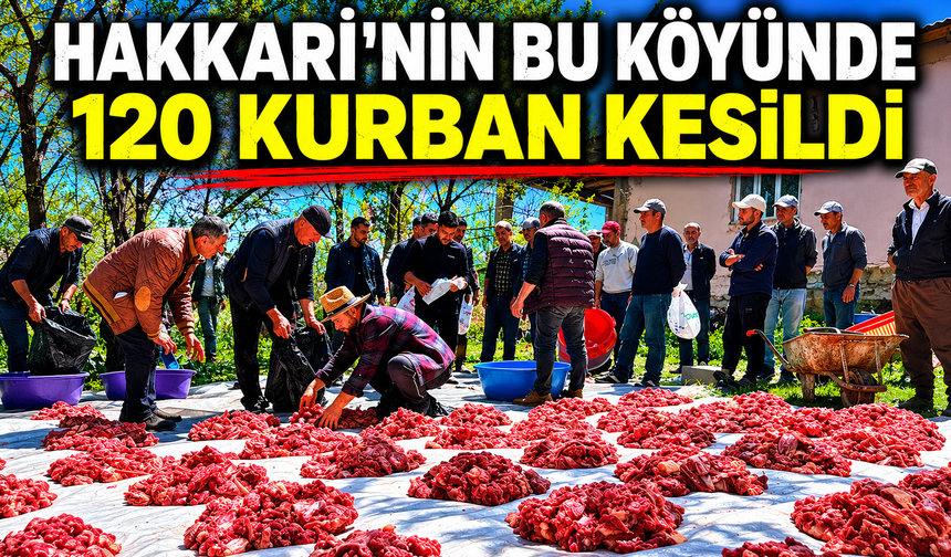 Hakkari'nin bu köyünde 120 kurban kesildi