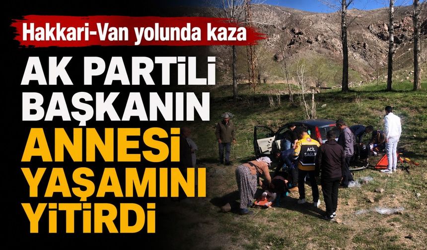 Hakkari-Van yolunda kaza: AK Partili başkanın annesi yaşamını yitirdi