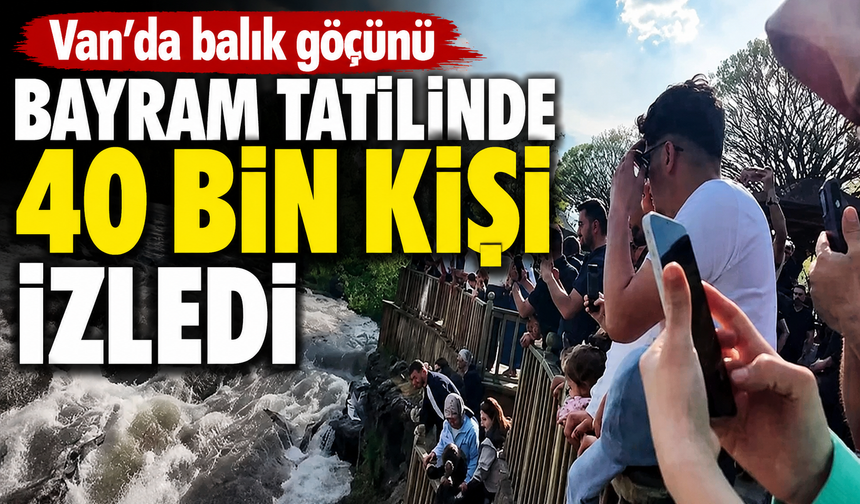 Van'da balık göçünü bayram tatilinde 40 bin kişi izledi