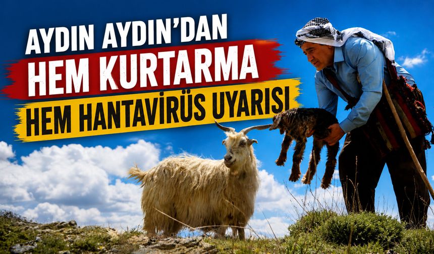 Aydın Aydın’dan hem kurtarma Hem hantavirüs uyarısı