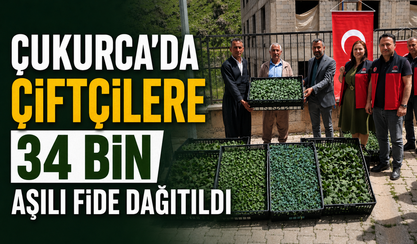 Çukurca'da çiftçilere 34 bin fide aşılı dağıtıldı