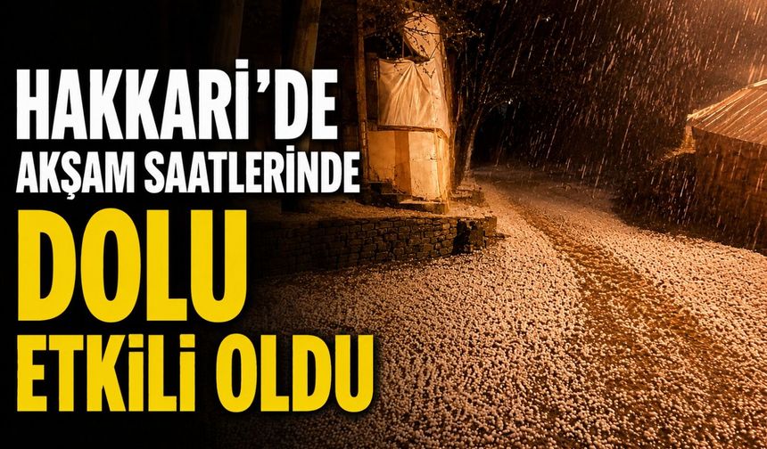 Hakkari'de akşam saatlerinde dolu etkili oldu
