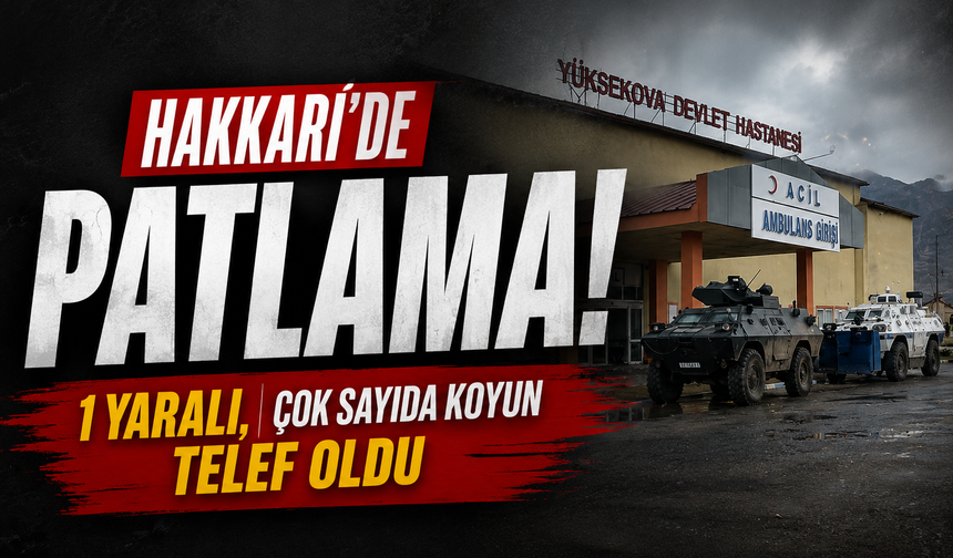 Hakkari’de patlama: 1 yaralı, çok sayıda koyun telef oldu