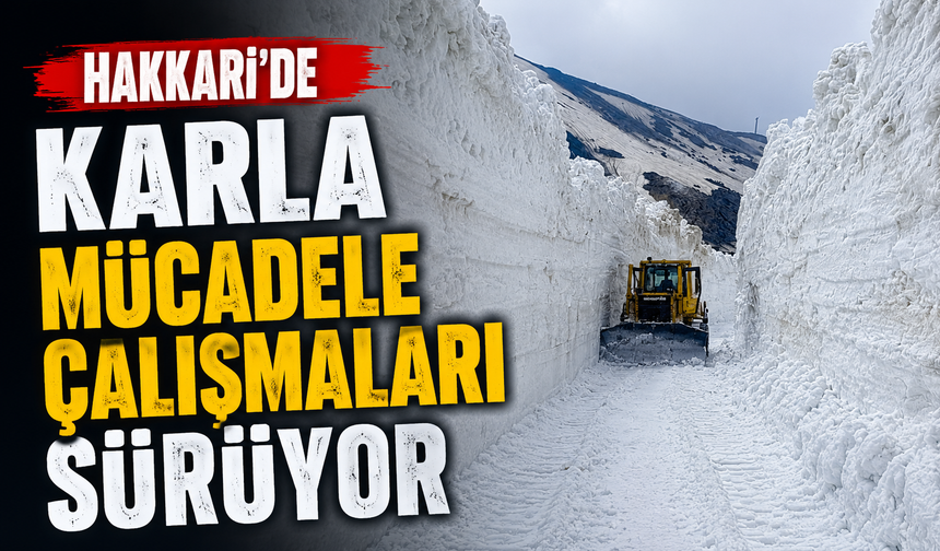 Hakkari’de karla mücadele çalışmaları sürüyor