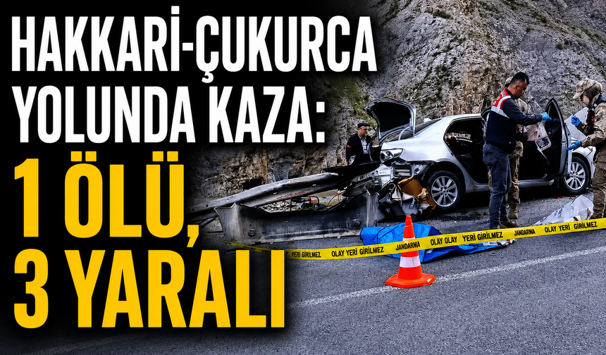 Hakkari-Çukurca yolunda  kaza: 1 ölü, 3 yaralı