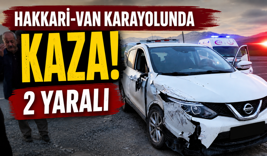 Hakkari-Van karayolunda Kaza: 2 yaralı