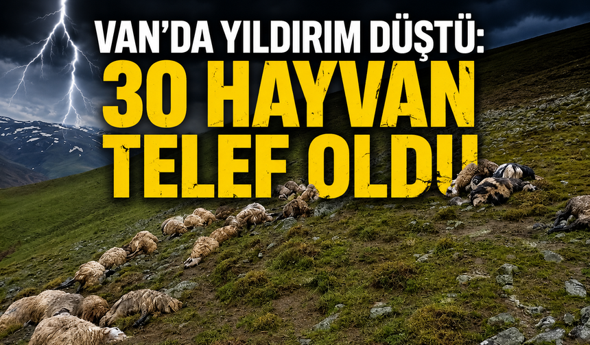 Van’da yıldırım düştü: 30 hayvan telef oldu