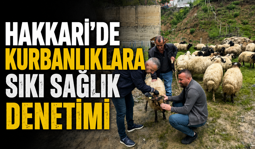 Hakkari’de kurbanlıklara sıkı sağlık denetimi
