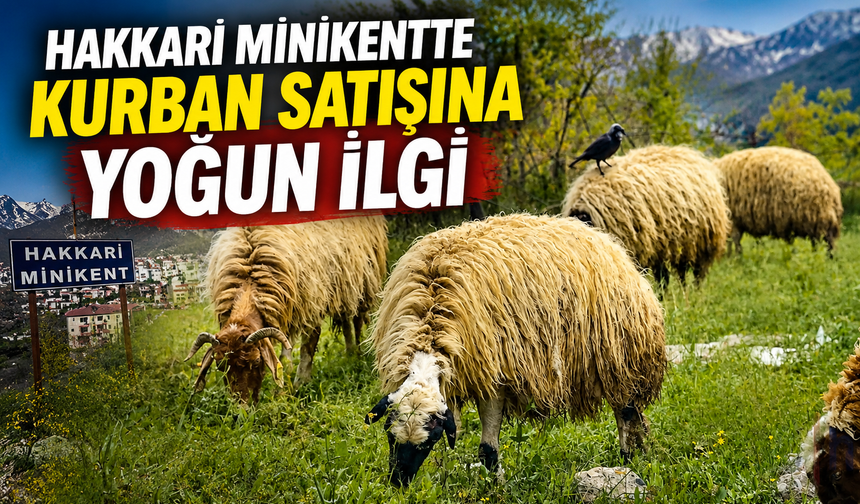 Hakkari Minikentte kurban satışına yoğun ilgi
