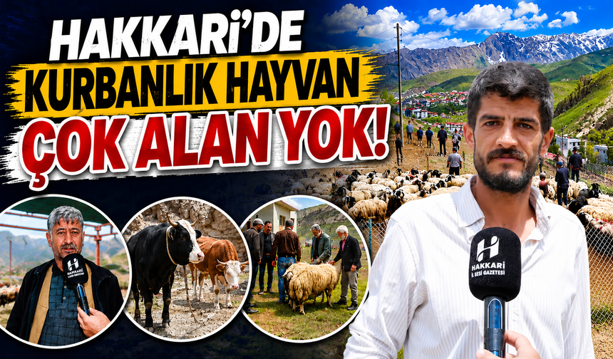 Hakkari'de kurbanlık hayvan çok alan yok!