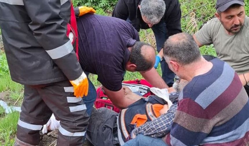 Mantar toplarken ayı saldırısında yaralandı