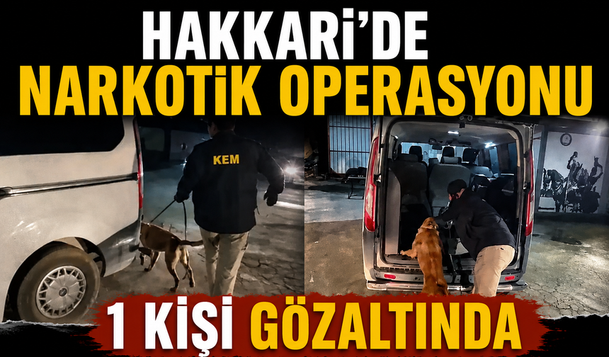 Hakkari'de narkotik operasyonu: 1 kişi gözaltında