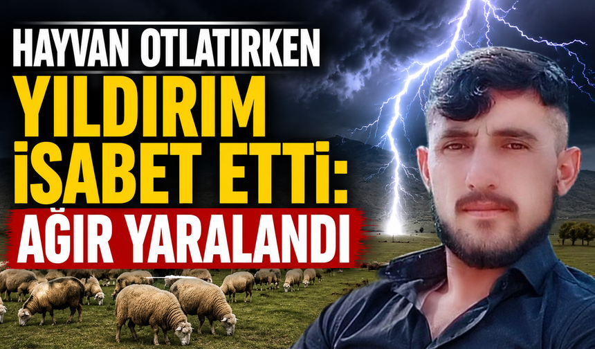 Hayvan otlatırken yıldırım isabet etti: ağır yaralandı
