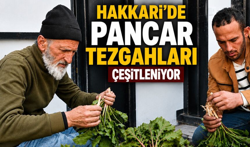 Hakkari'de pancar tezgahları çeşitleniyor