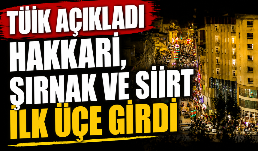 TÜİK açıkladı Hakkari, Şırnak ve Siirt ilk üçe girdi