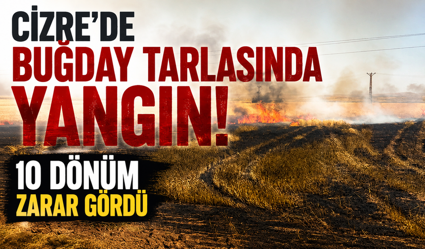 Cizre'de buğday tarlasında yangın; 10 dönüm zarar gördü