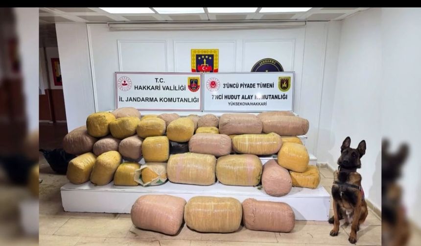 Hakkari’de İHA destekli operasyon: 4 tutuklama