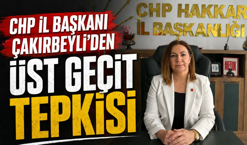 CHP İl Başkanı Çakırbeyli'den üst geçit tepkisi