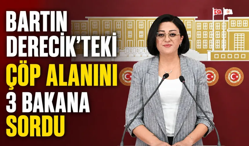Bartın Derecik'teki çöp alanını 3 bakana sordu