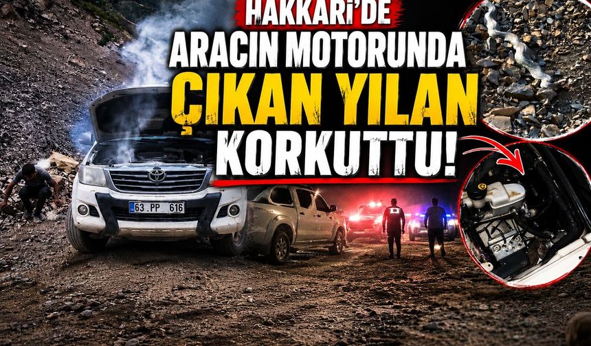 Hakkari’de aracın motoruna giren yılan paniğe neden oldu