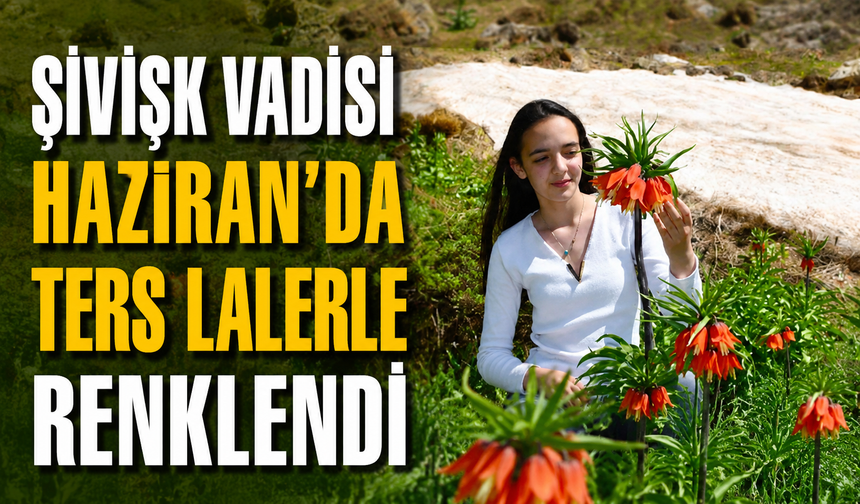 Şivişk Vadisi Haziran’da ters lalelerle renklendi
