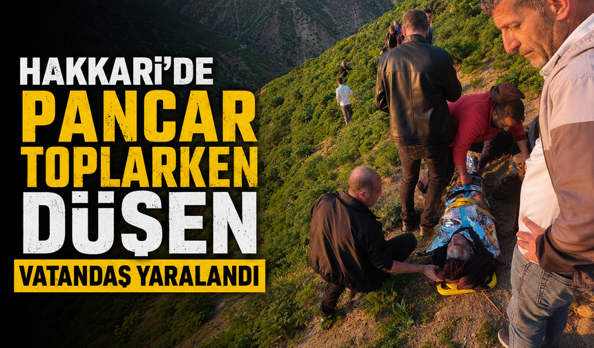 Hakkari'de pancar toplarken düşen vatandaş yaralandı