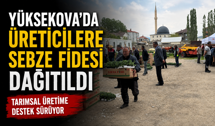Yüksekova'da üreticilere sebze fidesi dağıtıldı