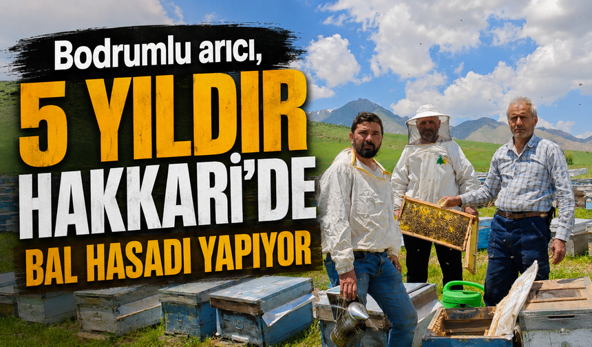 Bodrumlu arıcı, 5 yıldır Hakkari'de bal hasadı yapıyor