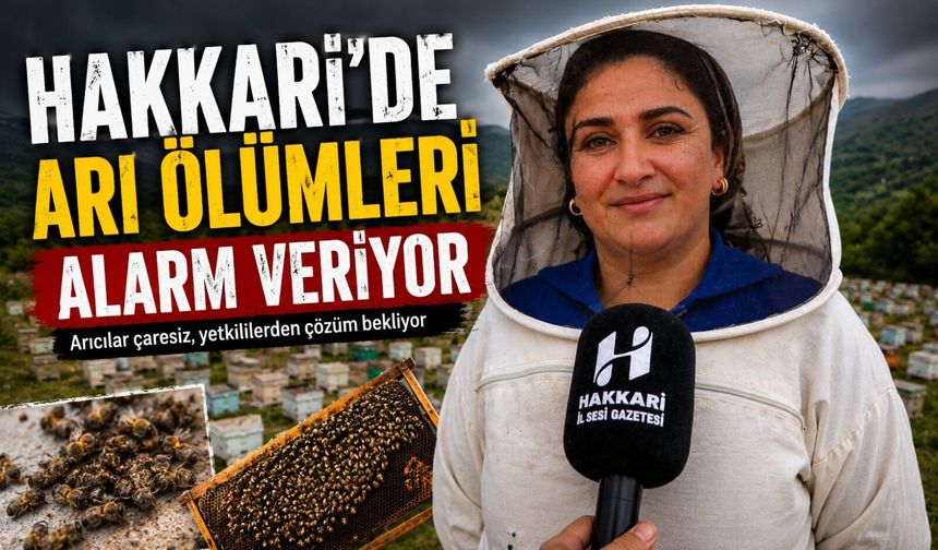 Hakkari'de arı ölümleri alarm veriyor