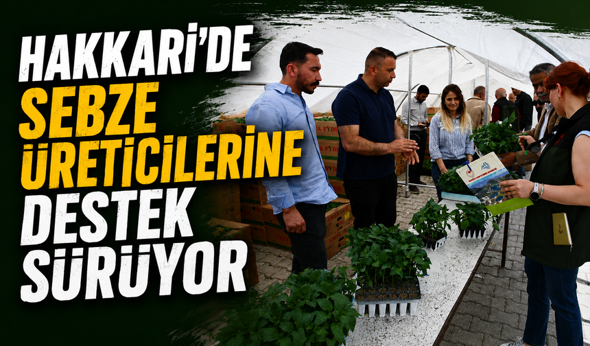 Hakkari'de sebze üreticilerine destek sürüyor