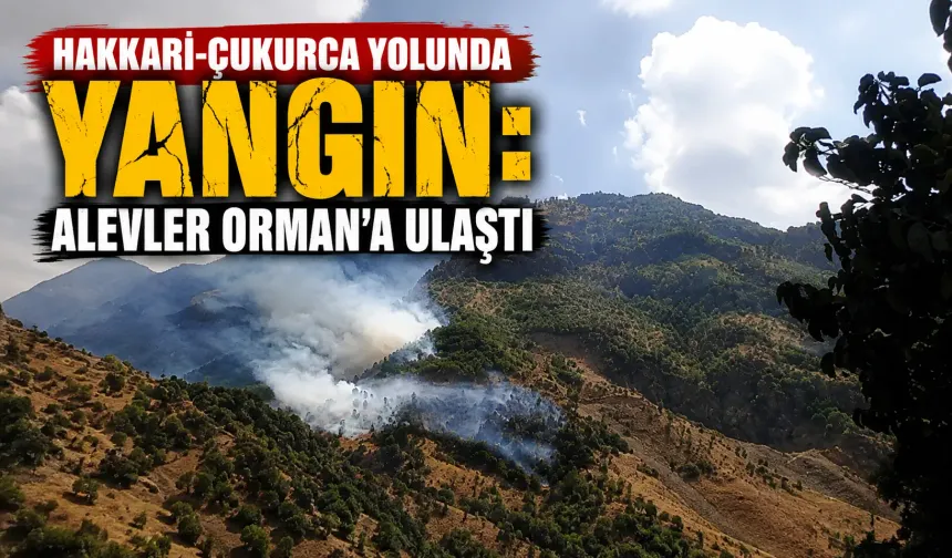 Hakkari-Çukurca yolunda yangın: Alevler ormana ulaştı