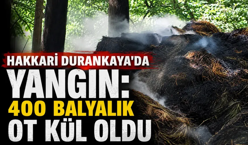 Hakkari Durankaya’da yangın: 400 balyalık ot kül oldu