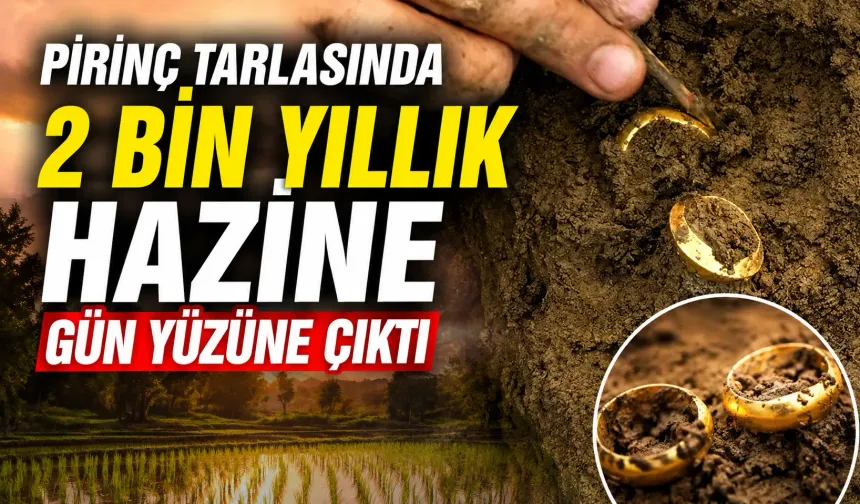 Pirinç tarlasında 2 bin yıllık hazine gün yüzüne çıktı