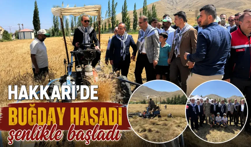 Hakkari'de buğday hasadı şenlikle başladı