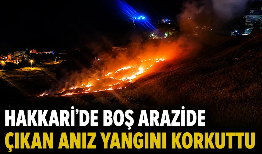 Hakkari'de boş arazide çıkan anız yangını korkuttu