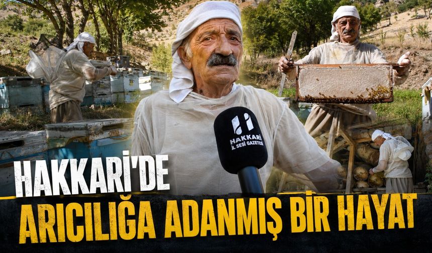 Hakkari’de arıcılığa adanmış bir hayat
