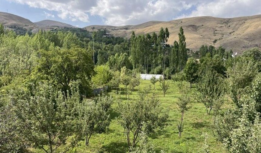 Hakkari’de 49 yıllık yatırım fırsatı!