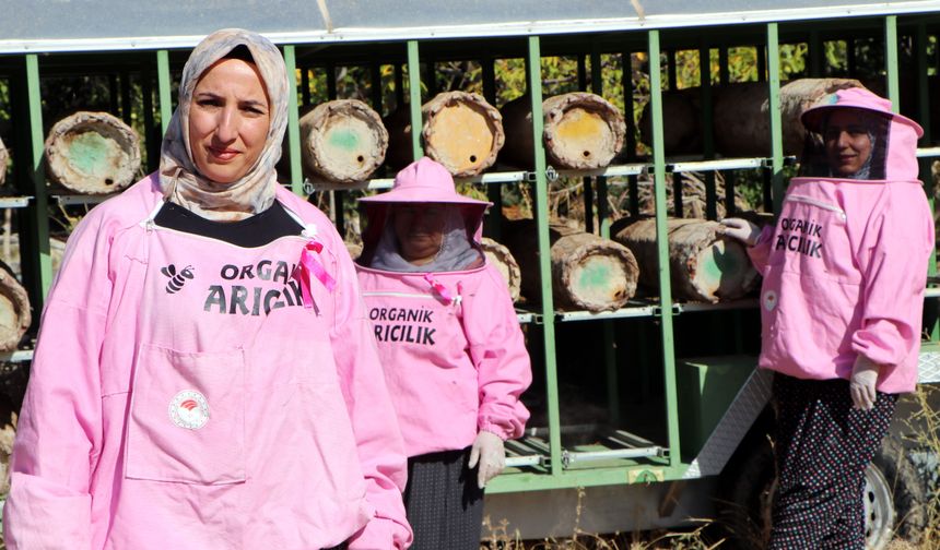 'Pembe maskeli’ kadın arıcılar hasada başladı