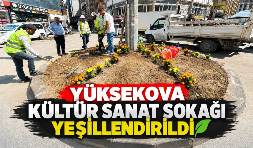 Yüksekova Kültür Sanat Sokağı yeşillendirildi
