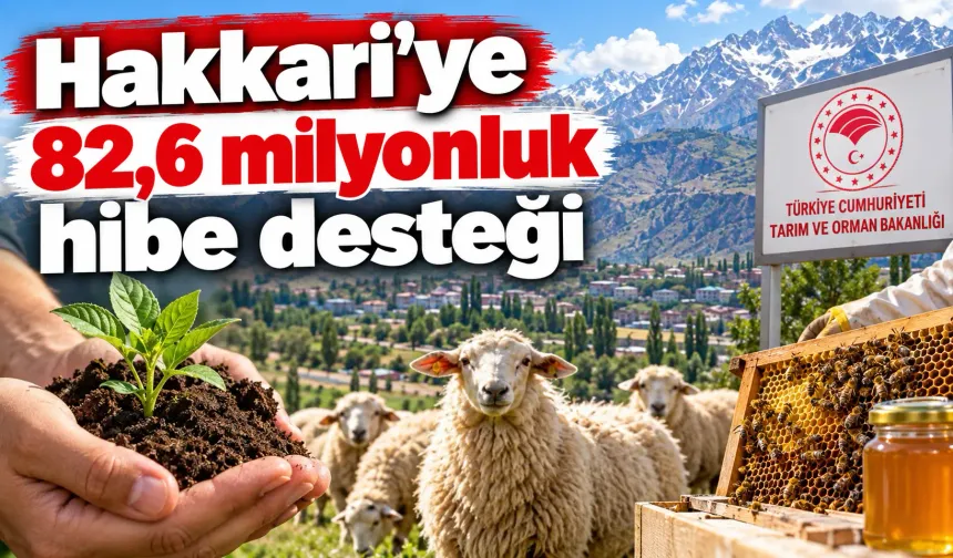 Hakkari'ye 82,6 milyonluk hibe desteği