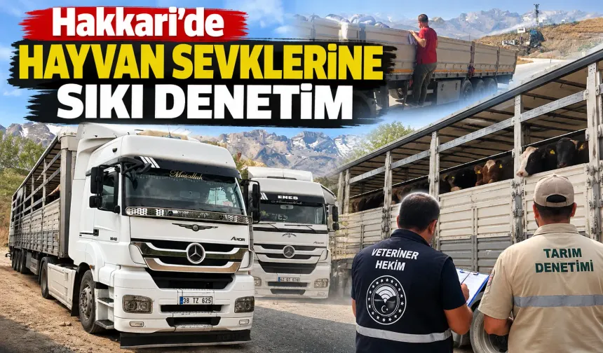 Hakkari’de hayvan sevklerine sıkı denetim
