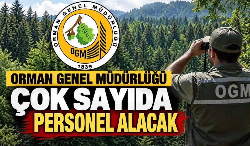 Orman Genel Müdürlüğü çok sayıda personel alacak