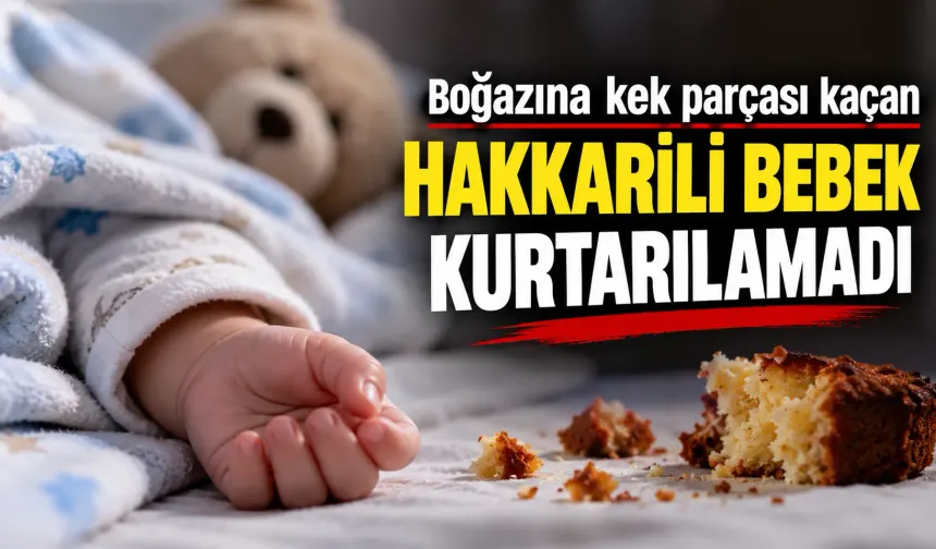 Boğazına kek parçası kaçan Hakkarili bebek kurtarılamadı