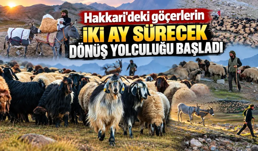 Hakkari'deki göçerlerin iki ay sürecek dönüş yolculuğu başladı