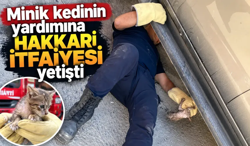Minik kedinin yardımına Hakkari itfaiyesi yetişti