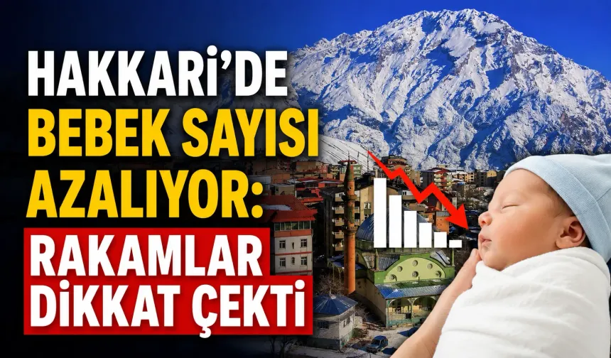Hakkari’de bebek sayısı azalıyor: Rakamlar dikkat çekti