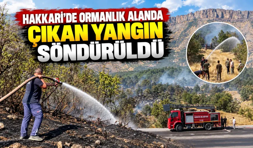 Hakkari'de ormanlık alanda çıkan yangın söndürüldü