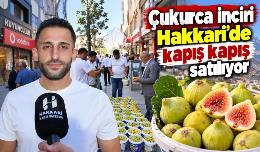 Çukurca inciri Hakkari'de kapış kapış satılıyor