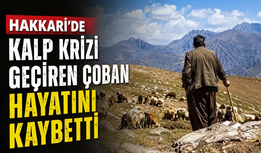 Hakkari’de kalp krizi geçiren çoban hayatını kaybetti